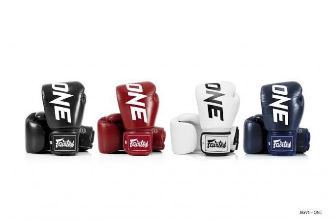 Fairtex Boxing Gloves BGV1 "ONE" Blue Fairtex