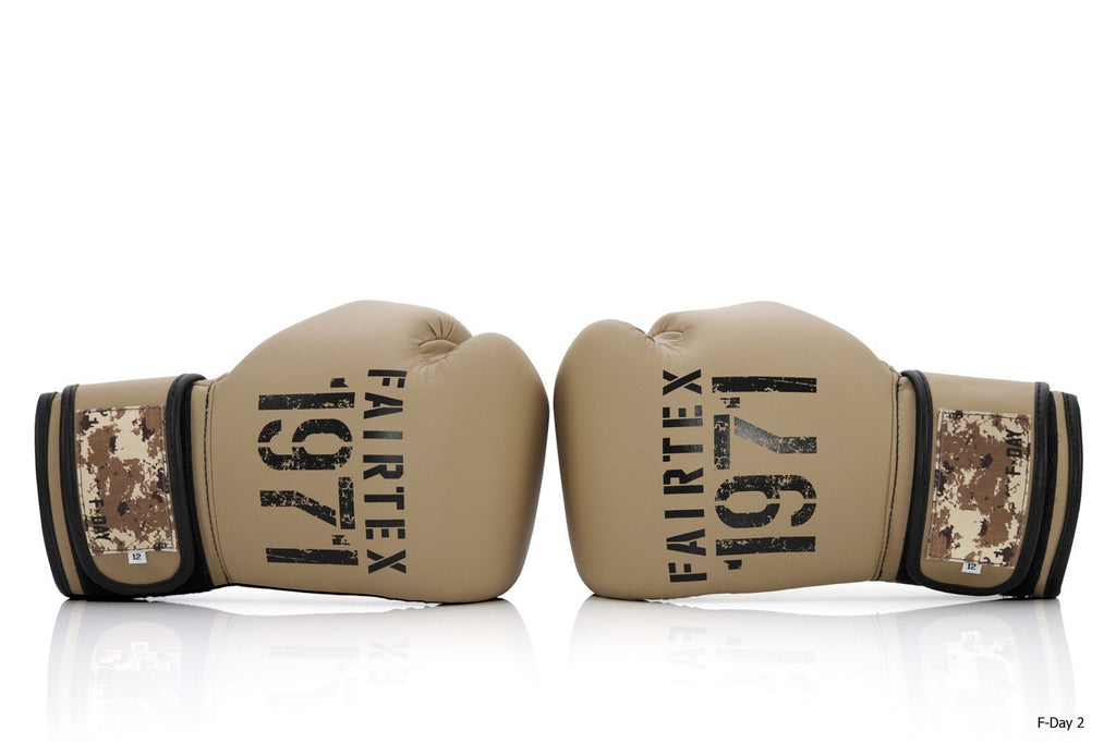 Fairtex Boxing Gloves BGV25 F-Day2 without box - SUPER EXPORT SHOP