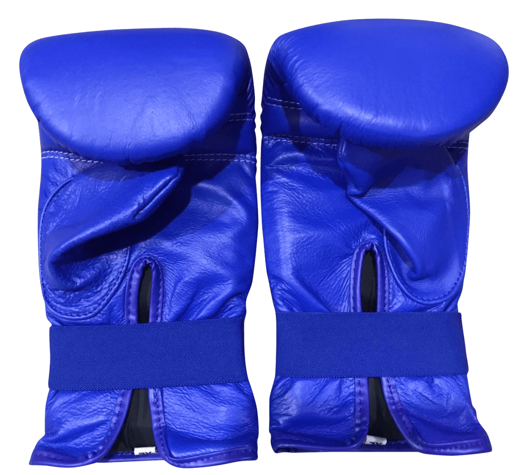 Twins Special Boxing Bag Gloves TBGL1F Blue - SUPER EXPORT SHOP